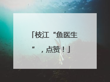 枝江“鱼医生”，点赞！