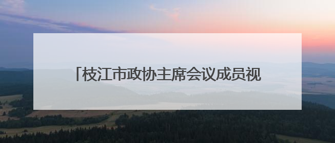 枝江市政协主席会议成员视察电力保障能力建设情况