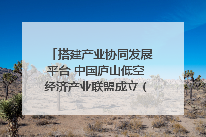 搭建产业协同发展平台 中国庐山低空经济产业联盟成立（组图｜视频）