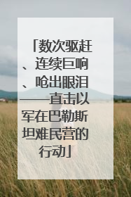 数次驱赶、连续巨响、呛出眼泪——直击以军在巴勒斯坦难民营的行动