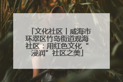 文化社区丨威海市环翠区竹岛街道观海社区：用红色文化“浸润”社区之美