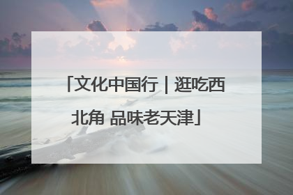 文化中国行｜逛吃西北角 品味老天津