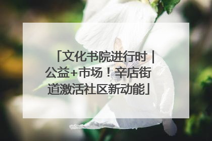 文化书院进行时｜公益+市场！辛店街道激活社区新动能