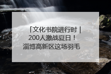 文化书院进行时｜200人激战夏日！淄博高新区这场羽毛球比赛太酷