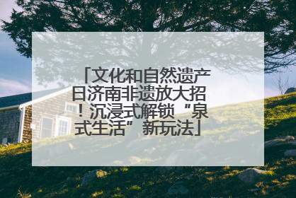 文化和自然遗产日济南非遗放大招！沉浸式解锁“泉式生活”新玩法