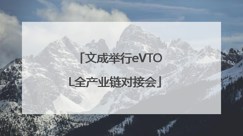 文成举行eVTOL全产业链对接会