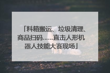 料箱搬运、垃圾清理、商品扫码……直击人形机器人技能大赛现场