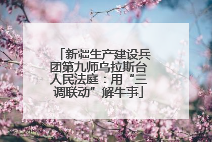 新疆生产建设兵团第九师乌拉斯台人民法庭：用“三调联动”解牛事