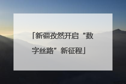 新疆孜然开启“数字丝路”新征程