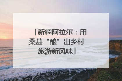 新疆阿拉尔：用桑葚“酿”出乡村旅游新风味