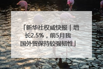 新华社权威快报｜增长2.5%，前5月我国外贸保持较强韧性