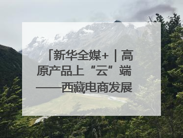 新华全媒+｜高原产品上“云”端——西藏电商发展一线观察