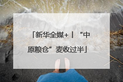 新华全媒+丨“中原粮仓”麦收过半