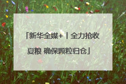 新华全媒+丨全力抢收夏粮 确保颗粒归仓