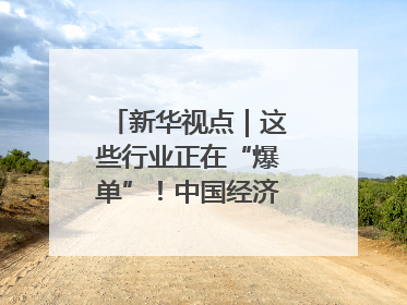 新华视点｜这些行业正在“爆单”！中国经济活力密码