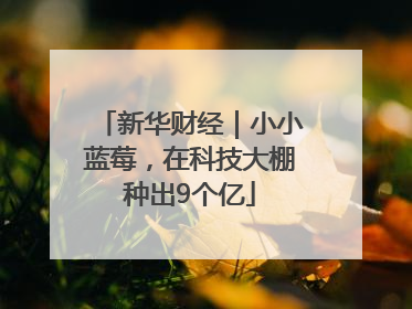 新华财经｜小小蓝莓，在科技大棚种出9个亿