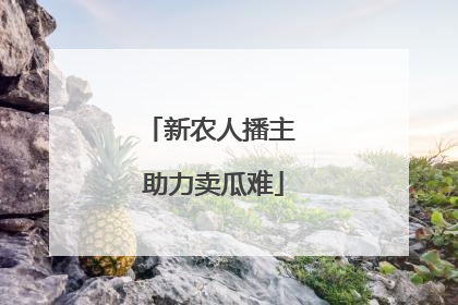 新农人播主 助力卖瓜难