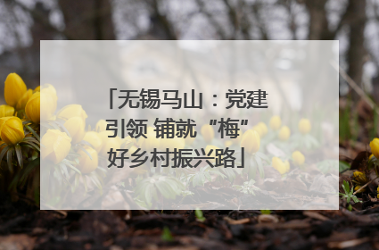 无锡马山：党建引领 铺就“梅”好乡村振兴路