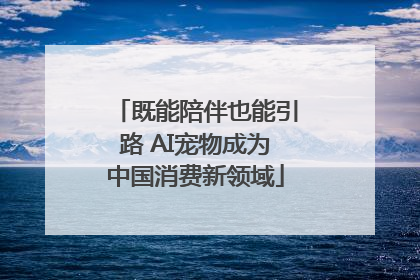 既能陪伴也能引路 AI宠物成为中国消费新领域