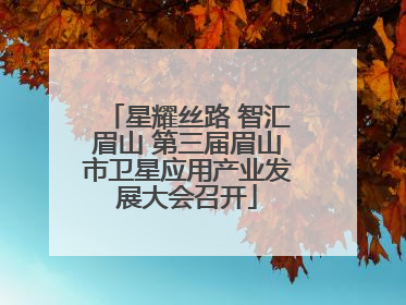 星耀丝路 智汇眉山 第三届眉山市卫星应用产业发展大会召开