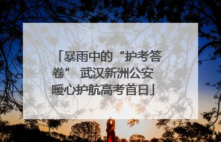 暴雨中的“护考答卷” 武汉新洲公安暖心护航高考首日