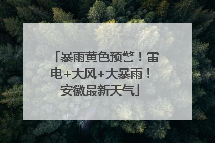 暴雨黄色预警！雷电+大风+大暴雨！安徽最新天气