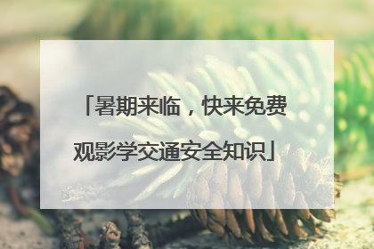 暑期来临，快来免费观影学交通安全知识