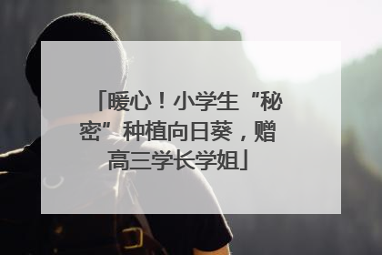 暖心！小学生“秘密”种植向日葵，赠高三学长学姐