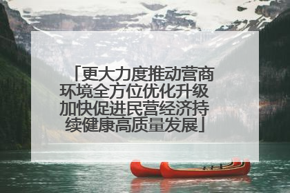 更大力度推动营商环境全方位优化升级加快促进民营经济持续健康高质量发展