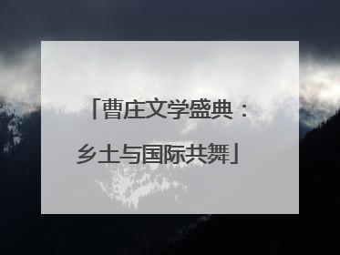 曹庄文学盛典：乡土与国际共舞