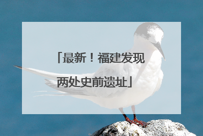 最新！福建发现两处史前遗址
