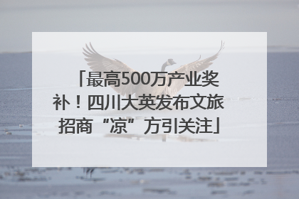 最高500万产业奖补！四川大英发布文旅招商“凉”方引关注