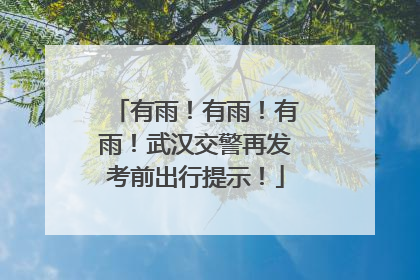 有雨！有雨！有雨！武汉交警再发考前出行提示！