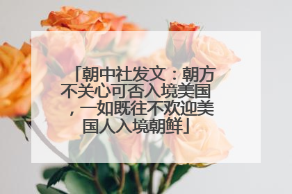 朝中社发文：朝方不关心可否入境美国，一如既往不欢迎美国人入境朝鲜