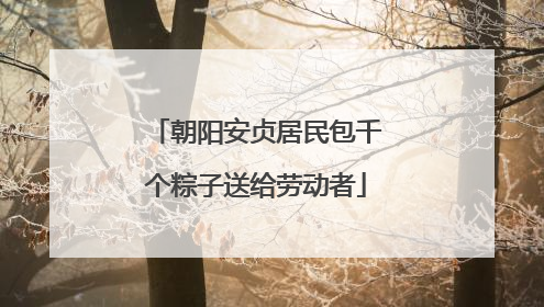 朝阳安贞居民包千个粽子送给劳动者