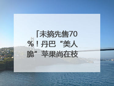 未摘先售70%！丹巴“美人脆”苹果尚在枝头就被预订｜长征路上看四川
