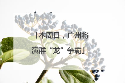 本周日，广州将演群“龙”争霸