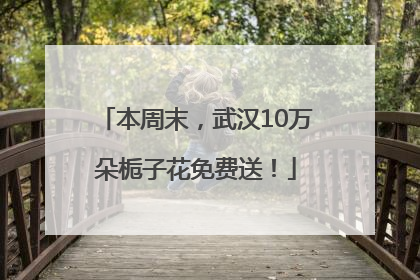 本周末，武汉10万朵栀子花免费送！