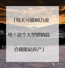 每天可储80万度电！这个大型锂钠混合储能站投产