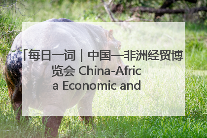 每日一词｜中国—非洲经贸博览会 China-Africa Economic and Trade Expo