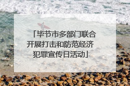 毕节市多部门联合开展打击和防范经济犯罪宣传日活动