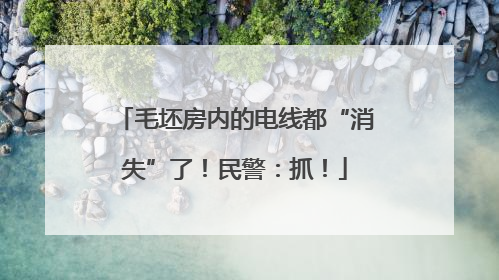毛坯房内的电线都“消失”了！民警：抓！