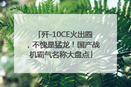 歼-10CE火出圈，不愧是猛龙！国产战机霸气名称大盘点