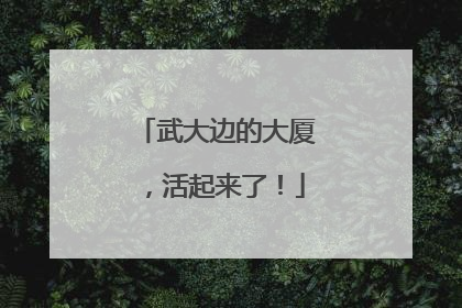 武大边的大厦，活起来了！