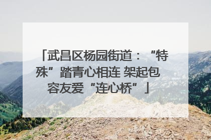 武昌区杨园街道：“特殊”踏青心相连 架起包容友爱“连心桥”