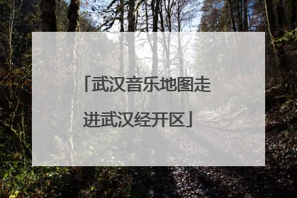 武汉音乐地图走进武汉经开区