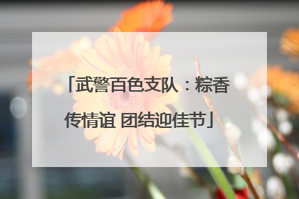 武警百色支队：粽香传情谊 团结迎佳节