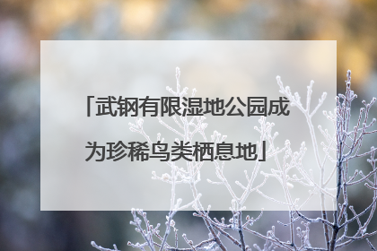 武钢有限湿地公园成为珍稀鸟类栖息地