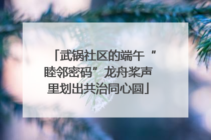 武锅社区的端午“睦邻密码”龙舟桨声里划出共治同心圆