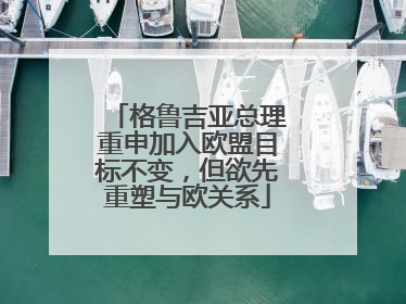 格鲁吉亚总理重申加入欧盟目标不变，但欲先重塑与欧关系